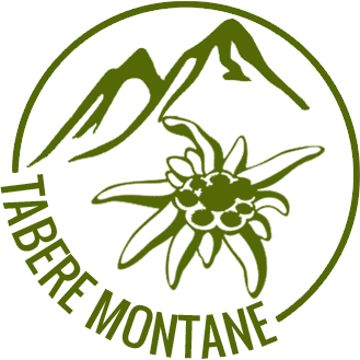 Tabere Montane