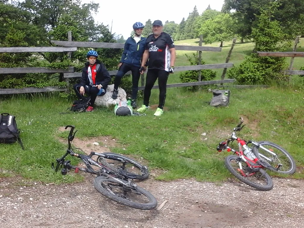 Plimbări cu bicicleta